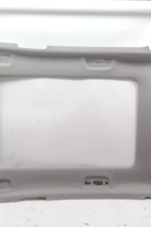 Auténtico TECHO INTERIOR KIA SPORTAGE V (NQ5) 1.6 T-GDI - 85410R2030WK