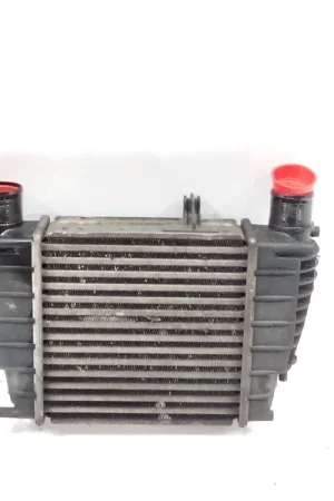 INTERCOOLER RENAULT MODUS / GRAND MODUS (F/JP0_) 1.2 16V (JP0W) - 8200471888 Económico
