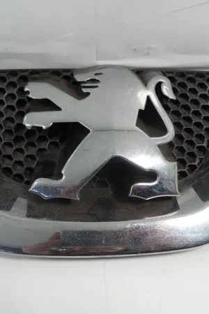 Mejor Calidad TUBO PEUGEOT C4. PEUGEOT 207
