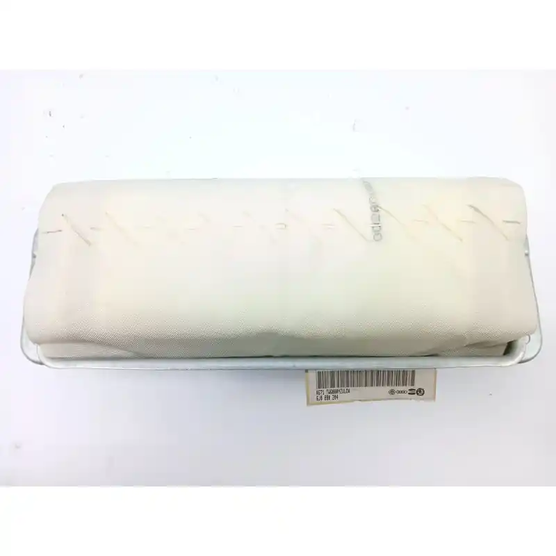 Stock Limitado AIRBAG DELANTERO DERECHO 6J0880204