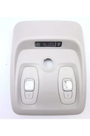 Ordena Ya LUZ INTERIOR 969801754R 264305076R 969800515R