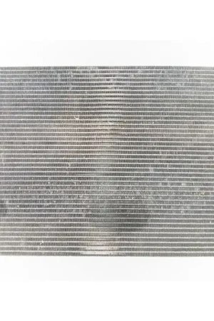 CONDENSADOR / RADIADOR AIRE ACONDICIONADO LR015556 Precio Reducido