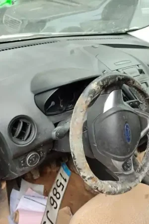SALPICADERO Novedad