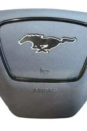 Descuento AIRBAG DELANTERO IZQUIERDO LJ8BR043B13AE319W