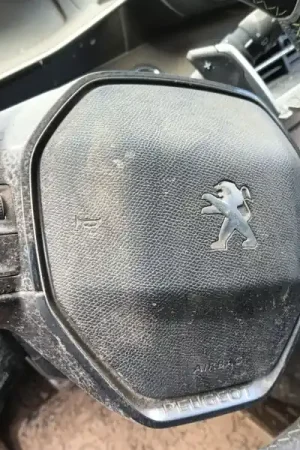AIRBAG DELANTERO IZQUIERDO 98255207ZD Hecho A Mano