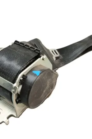 Profesional CINTURON SEGURIDAD TRASERO IZQUIERDO 888500016R