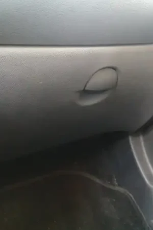 De Moda GUANTERA
