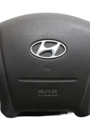 Compra Hoy AIRBAG DELANTERO IZQUIERDO H3DS2101720002 569003D000TI
