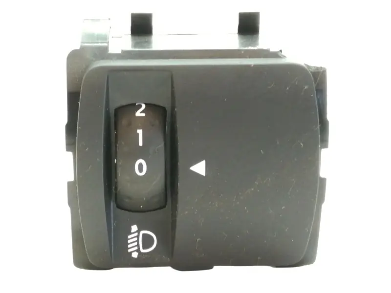 MANDO LUCES 251902972R Premium