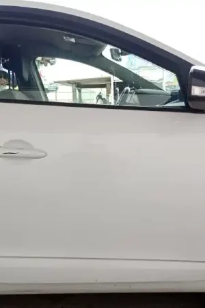 Precio De Fábrica PUERTA DELANTERA DERECHA 801009742R