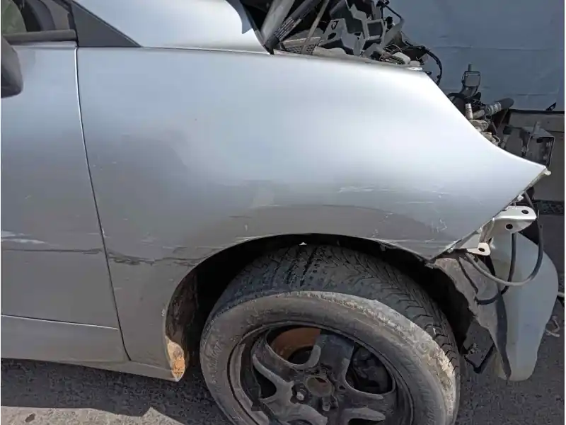 Lujoso ALETA DELANTERA DERECHA PARA PINTAR