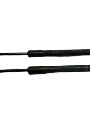 AMORTIGUADORES MALETERO / PORTON 4039180395N 689500W641 Marca Reconocida