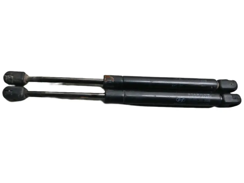 AMORTIGUADORES MALETERO / PORTON 6661PZ 0530N Disponible Ahora