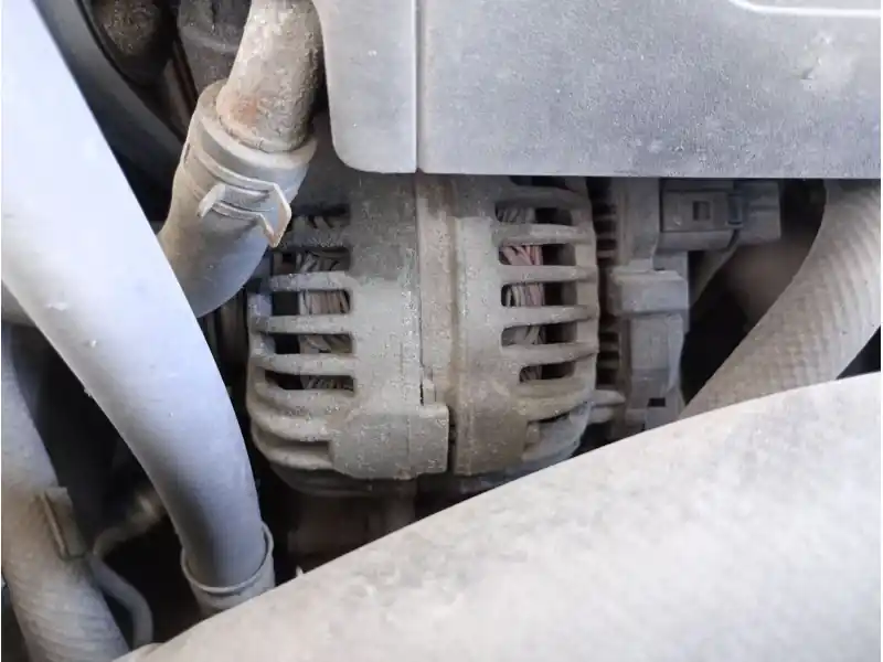 ALTERNADOR Stock Limitado