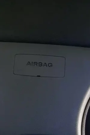AIRBAG CORTINA DELANTERO IZQUIERDO 1600516 Profesional