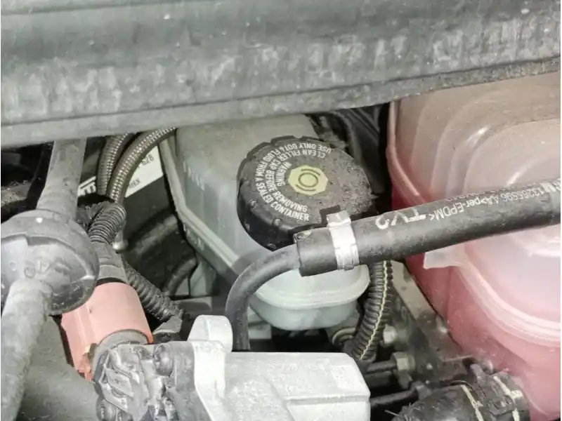 Marca Reconocida BOMBA FRENO