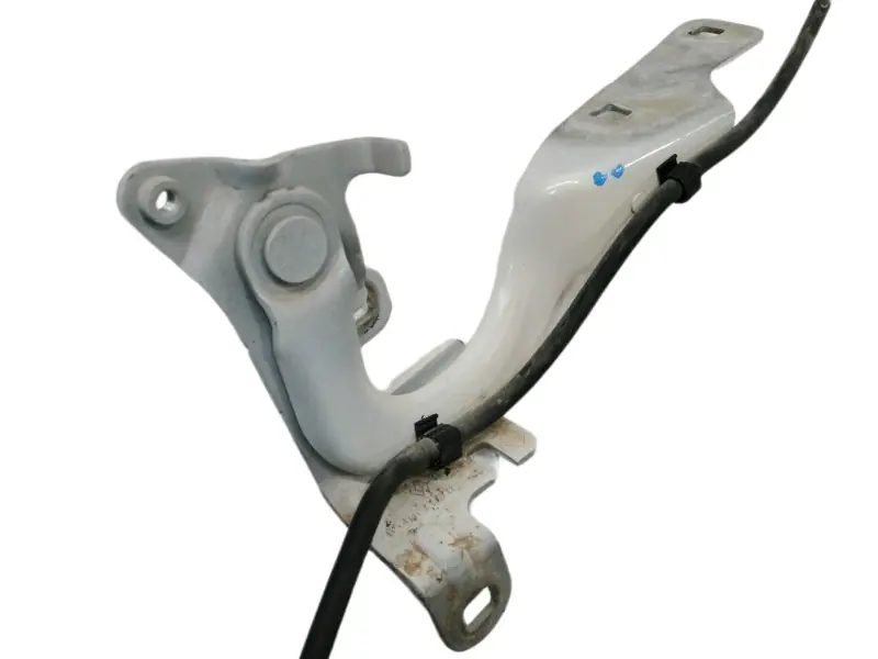 BISAGRAS CAPO 654001377R Más Vendido