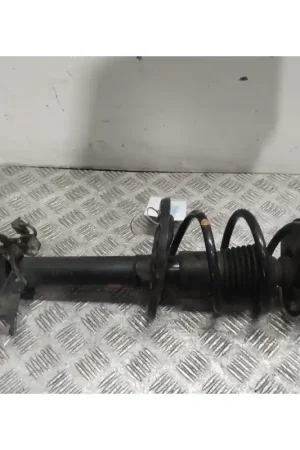 AMORTIGUADOR DELANTERO DERECHO 543020322R Promoción