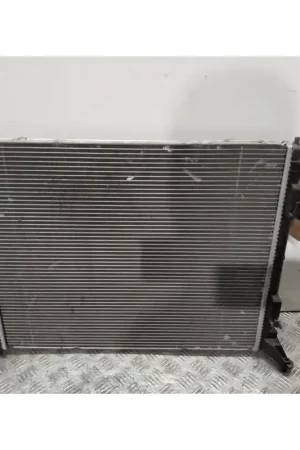 Liquidación RADIADOR AGUA 214105169R