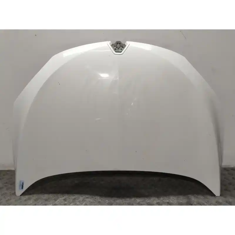 CAPOT DELANTERO 651002749R Favorito De Clientes