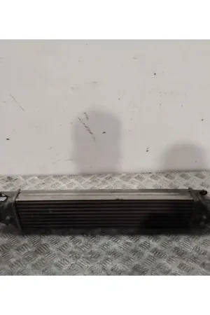 Económico INTERCOOLER 0000051783791