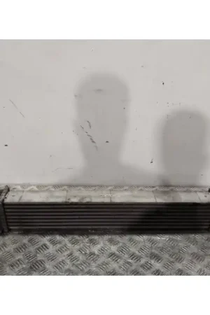 Nuevo Modelo INTERCOOLER A1695000000