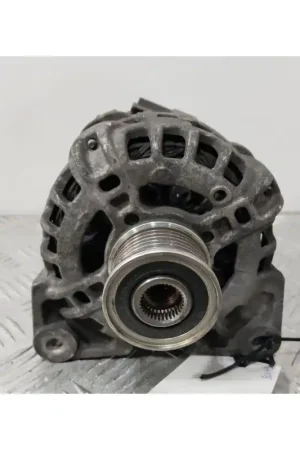 Venta Final ALTERNADOR 231006007R