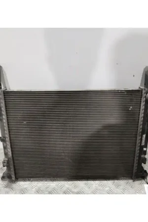 Profesional RADIADOR AGUA 8200418329