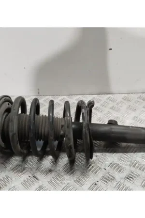 AMORTIGUADOR DELANTERO IZQUIERDO 5202GG Más Vendido