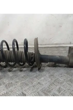 AMORTIGUADOR DELANTERO DERECHO 5202CZ Profesional