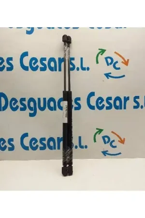 Garantía De Devolución De Dinero AMORTIGUADORES MALETERO / PORTON 90341377