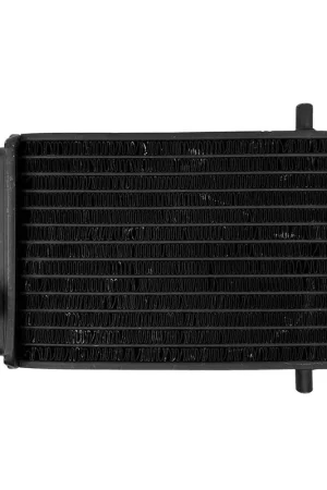 RADIADOR ICM RIEJU RST 80 Mayoreo