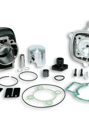 Imprescindible (Must-Have) EQUIPO MOTOR MALOSSI Ø47 PIAGGIO LC BULÓN Ø12