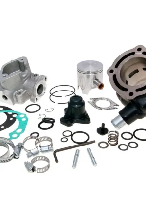 Artesanal EQUIPO MOTOR POLINI Ø47 APRILIA SR 50 DITECH