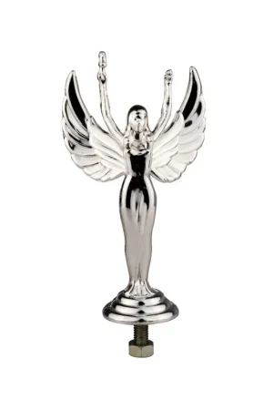 Precio De Oferta FIGURA LIBERTAD PARA GUARDABARROS