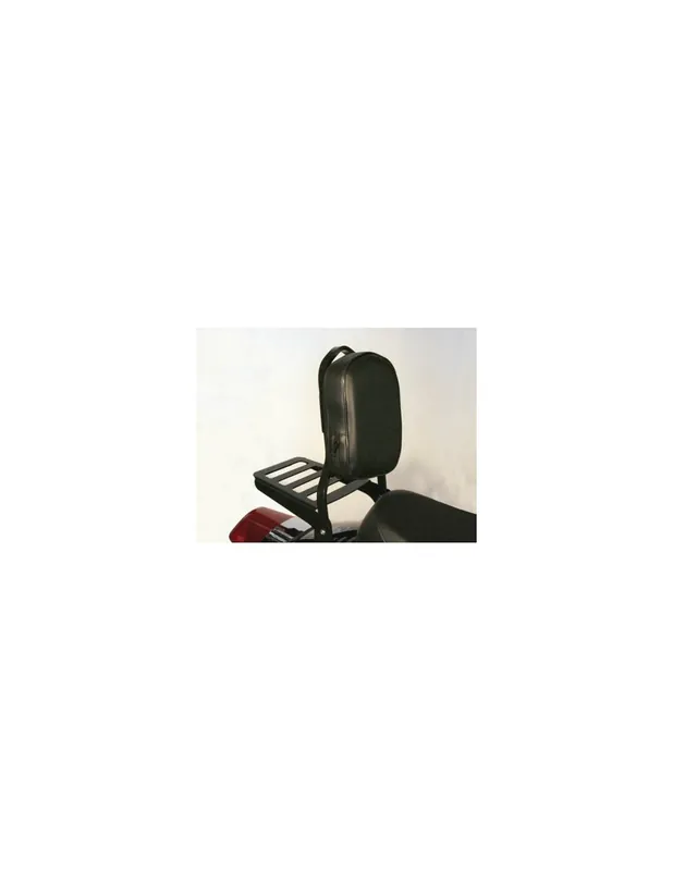 Precio Rebajado RESPALDO C/PORTAEQUIPO DAELIM DAYSTAR 125 NEGRO