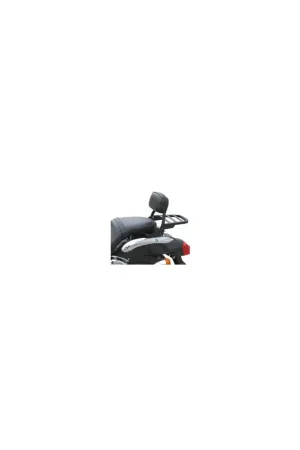 Oferta De Temporada RESPALDO C/ PARRILLA BAJO HARLEY XL 94-03 NEGRO